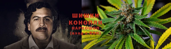 СК Волоколамск
