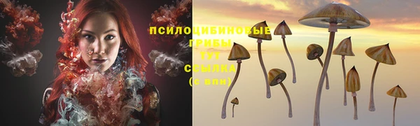не бодяженный Володарск