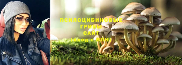СК Волоколамск