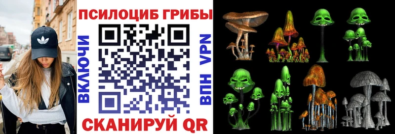 Псилоцибиновые грибы мухоморы  Купить закладки  Малгобек 
